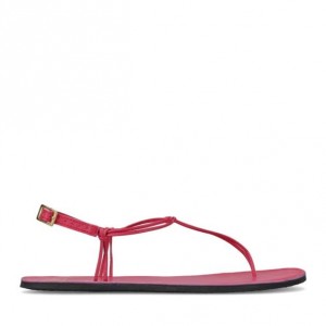 Groundies Amalfi Barfuß Sandalen Damen Rosa | CV25-240