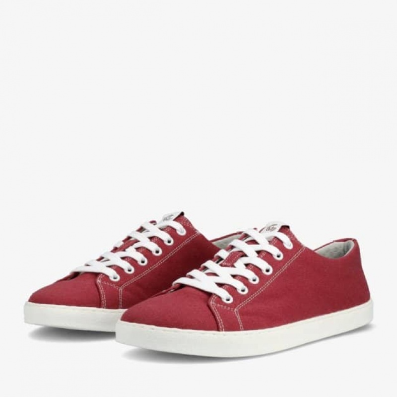 Groundies Brooklyn Low Barfuß Sneaker Herren Bordeaux | PU26-103