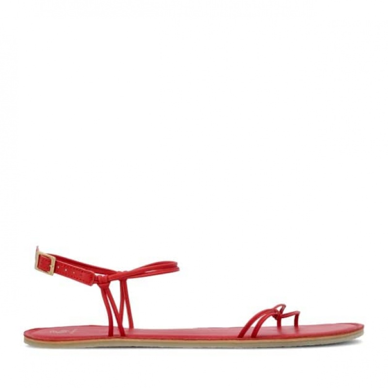 Groundies Cadiz Barfuß Sandalen Damen Rot | MC42-334