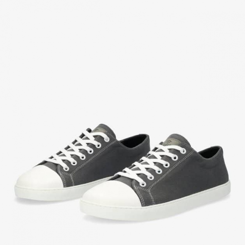 Groundies True Star Low Vegan Sneaker Damen Grau | CF41-277