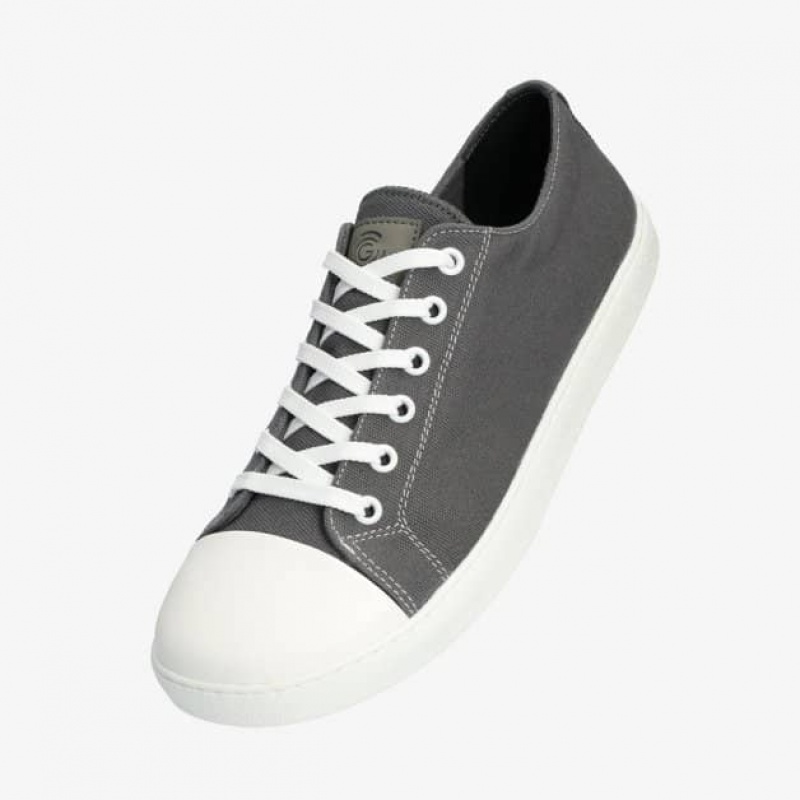 Groundies True Star Low Vegan Sneaker Damen Grau | CF41-277