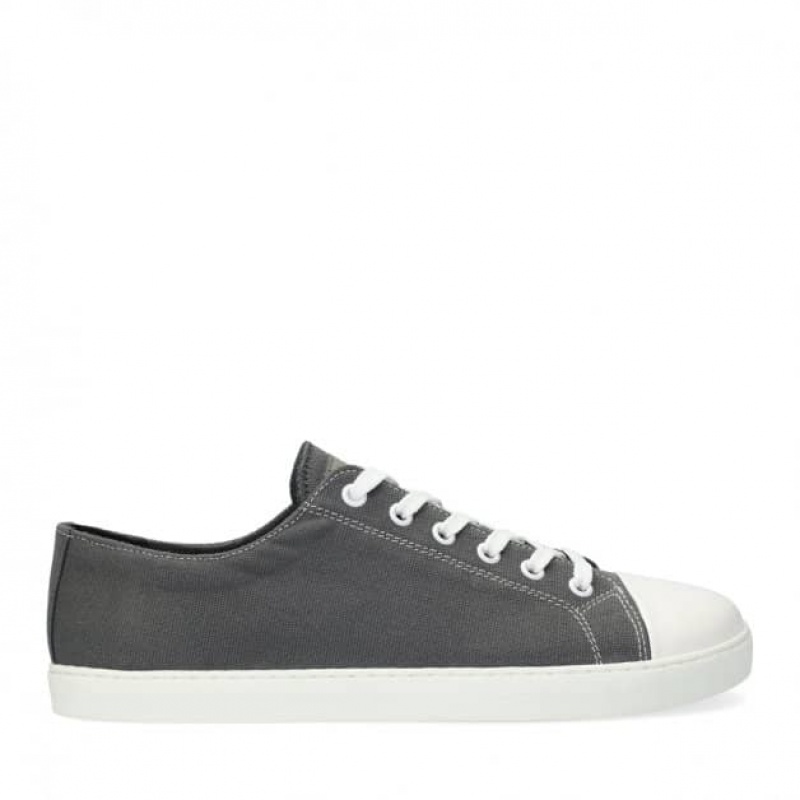 Groundies True Star Low Vegan Sneaker Damen Grau | CF41-277